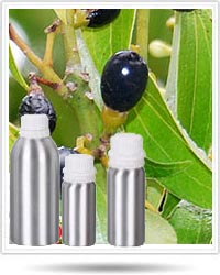 Cinnamon Oil