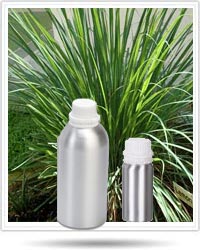 Lemongrass Oil